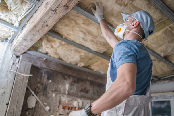 Best Geographic-Specific Insulation Services in Stockton, CA